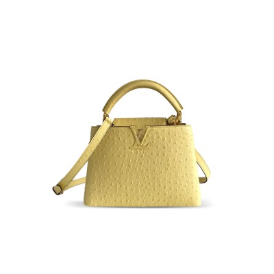 LOUIS VUITTON CAPUCINES BB N89018 (27*18*9cm) LOUIS VUITTON CAPUCINES BB N89018 (27*18*9cm)